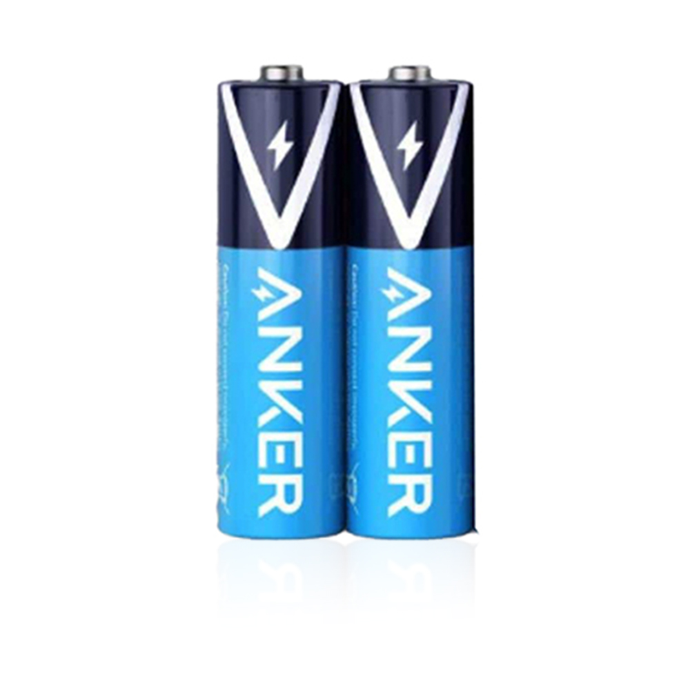 AAA Alkaline Batteries - 2 Pack