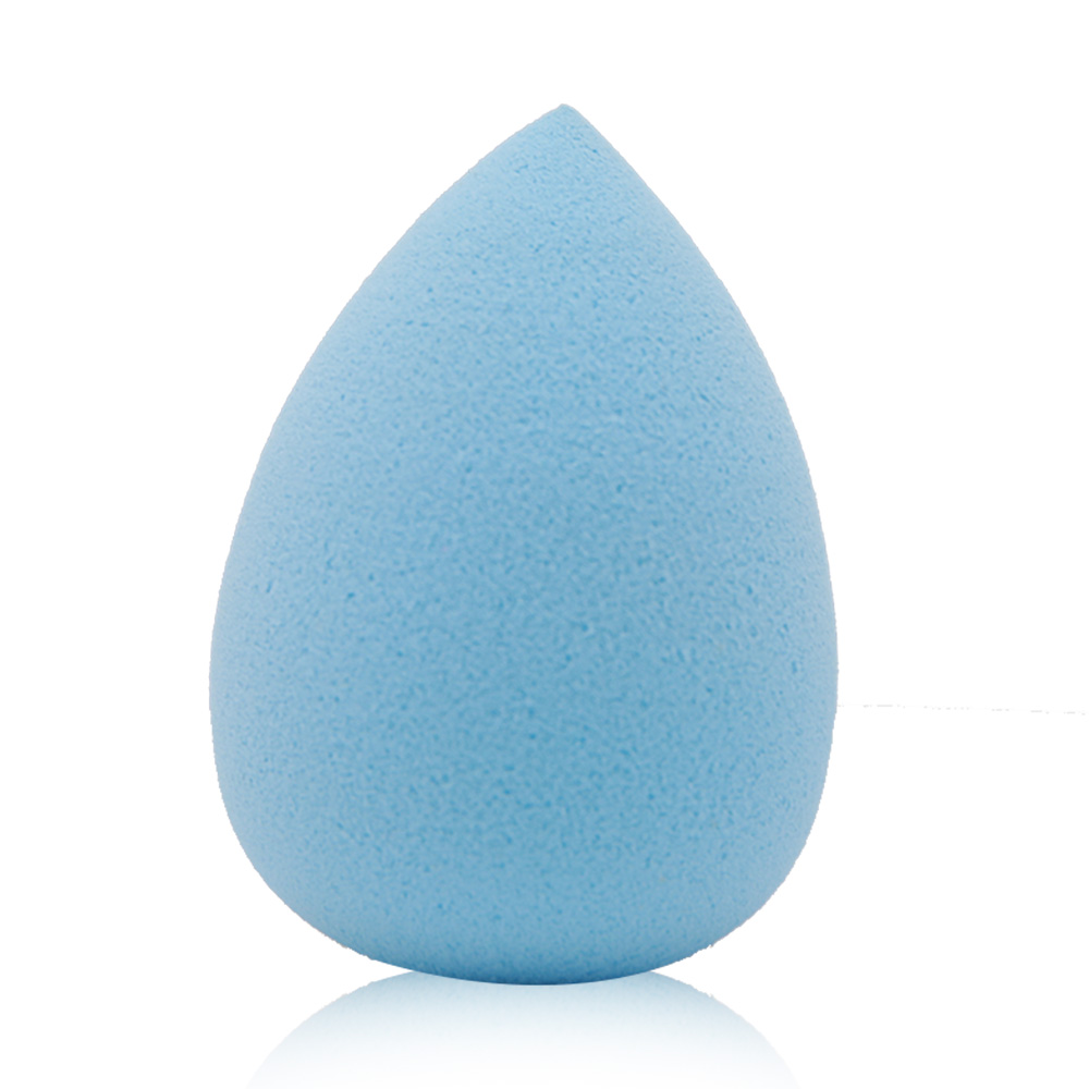 Blender Sponge -  Blue