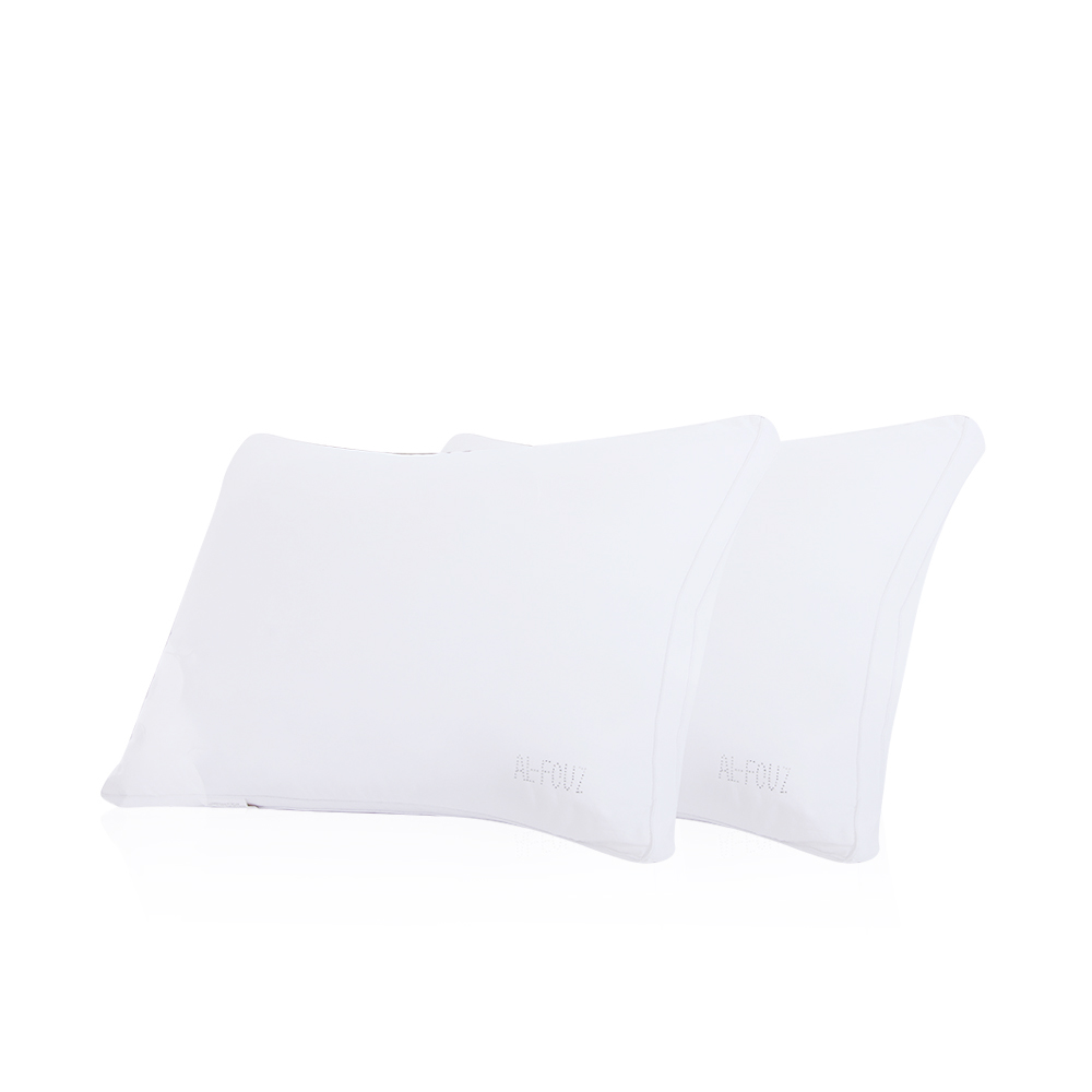Embroidered  Pillow - 50 X 70  