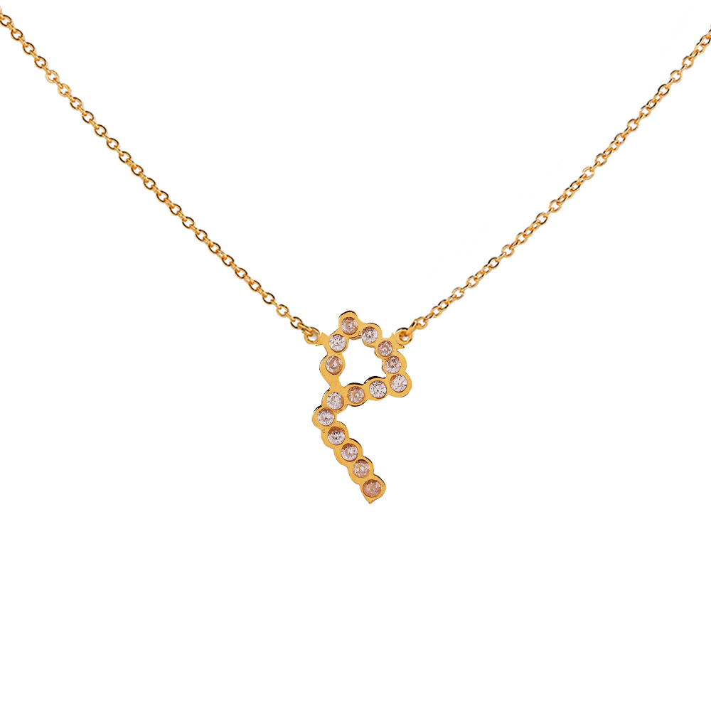 Gold plated Zircon Necklace - Arabic letter Mim
