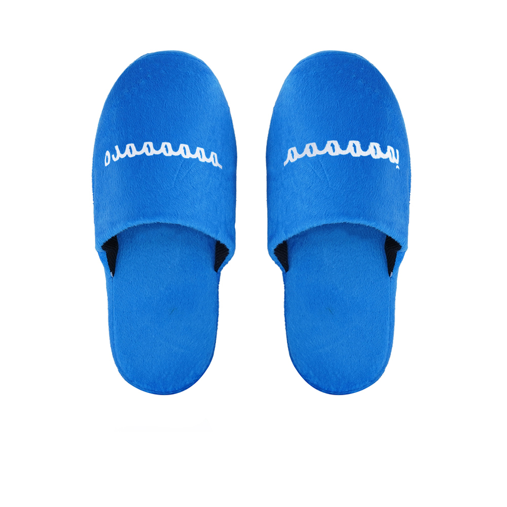 Home Slipper - Blue