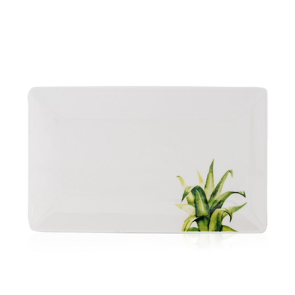 Aglaoneme Plate - N 3