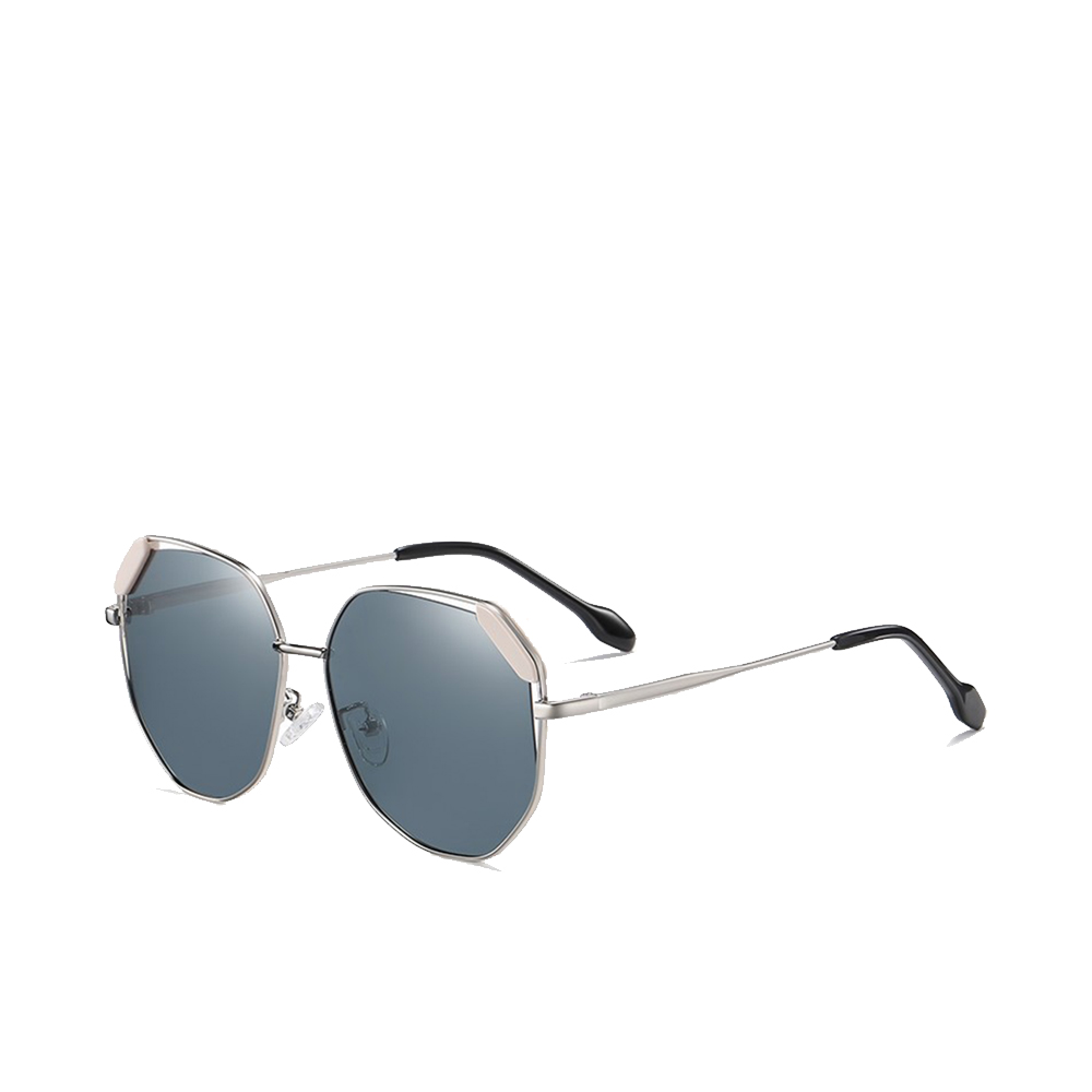 Polarized Sunglasses Tokyo - Silver and Light Gray