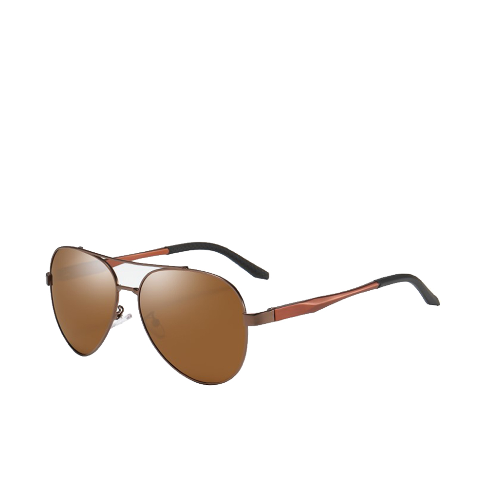 Polarized Sunglasses La Plata - Brown