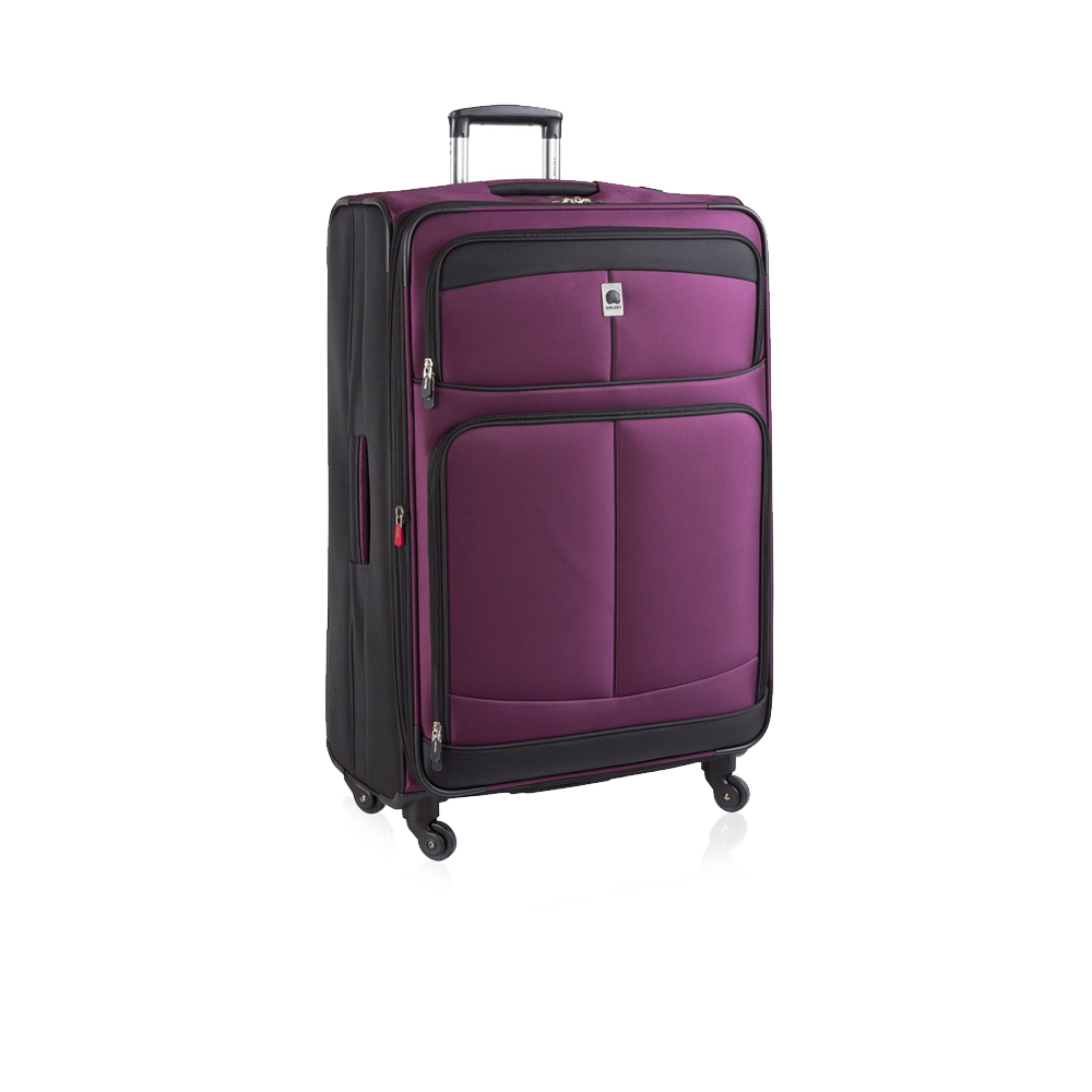 Woodburry 4 wheels Spinner 61cm Trolley - Purple