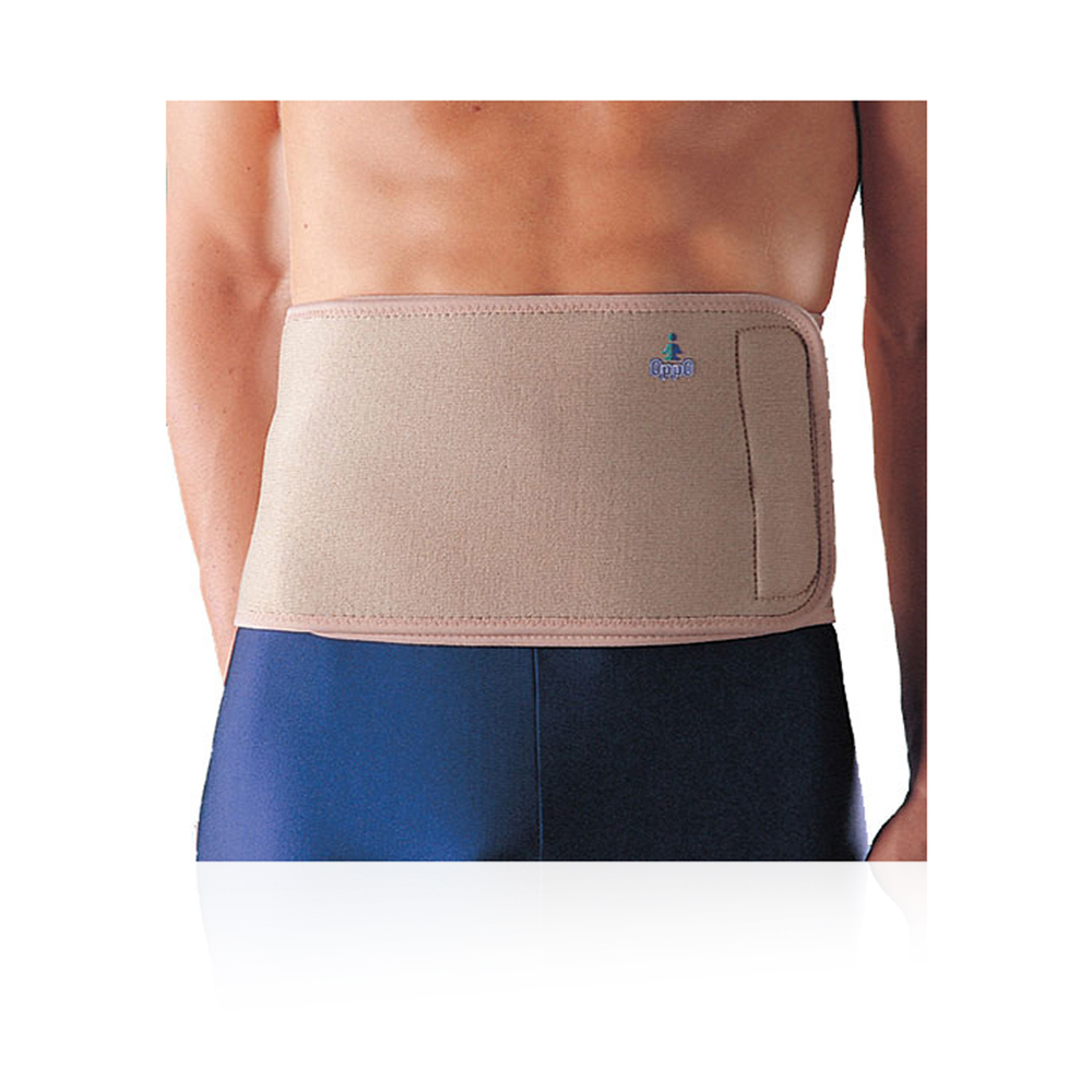 Waist Belt Back Support