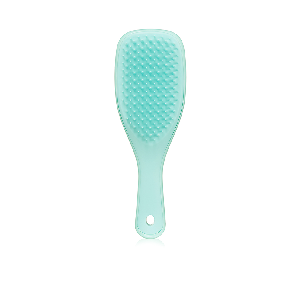 Mini Wet Detangler Hair Brush - Mint