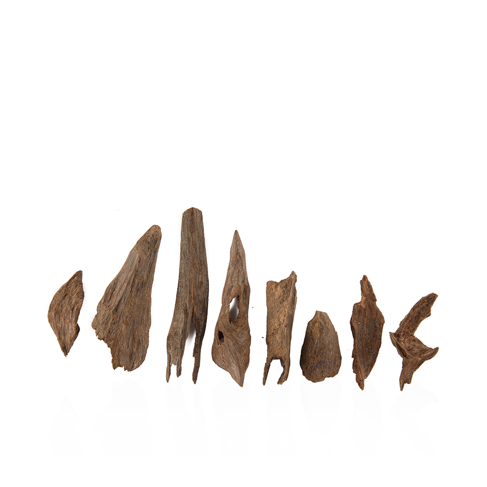 Filipino Bicol - 1 Tola