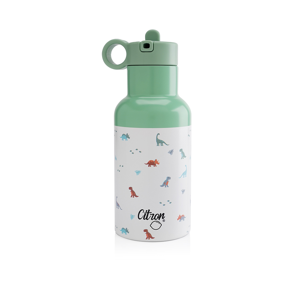 Triple wall insulated Stainless Steel Drinking Bottle With Dino Printed Green - 350ml