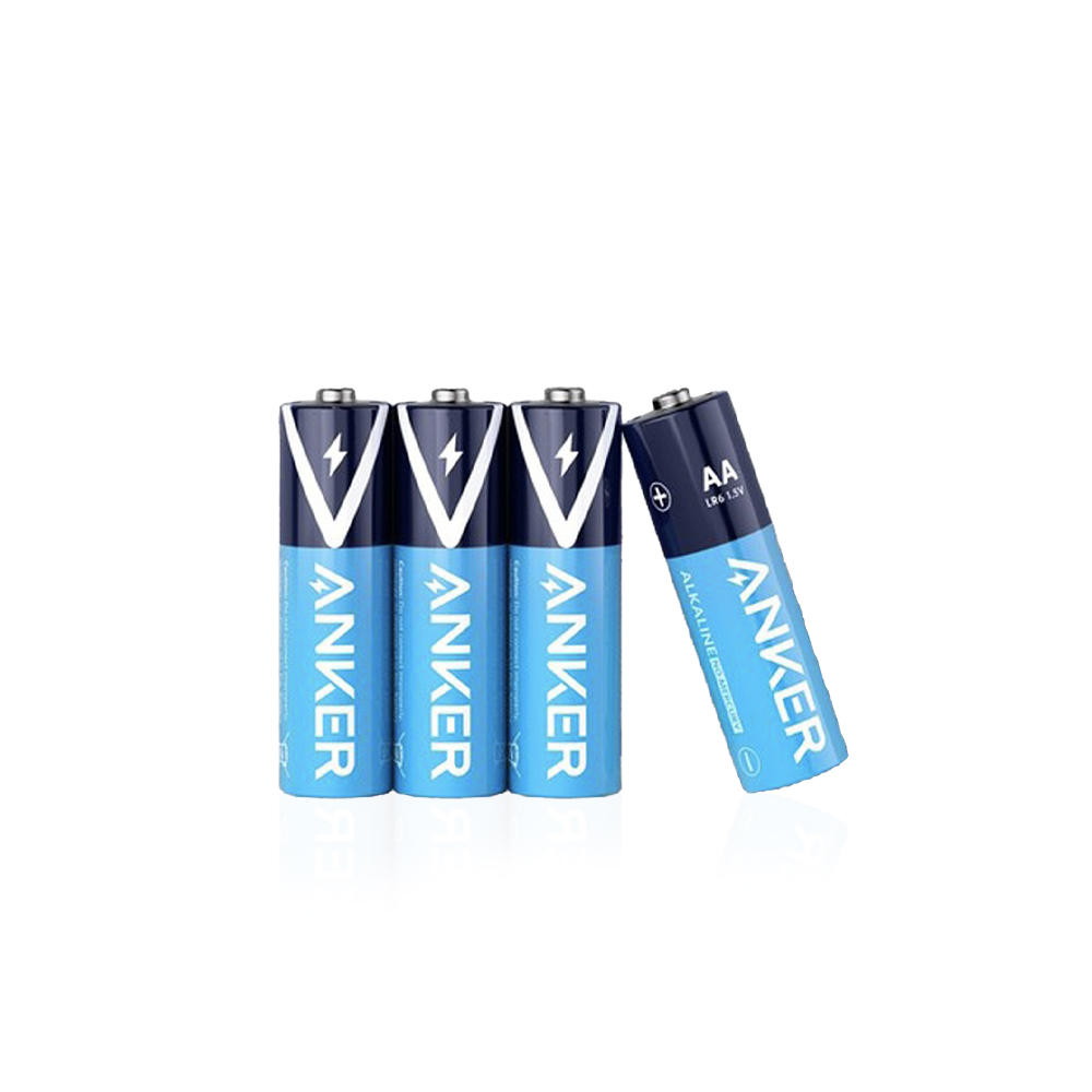 Alkaline AA Batteries Jumbo Pack - 100 Pack
