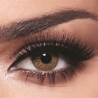Contact Lenses One Day Radiant Hazelnut Daily
