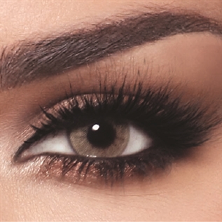 Contact Lenses One Day Hazel Beige Daily